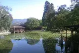 池の山キャンプ場