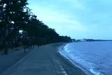 二見浦
