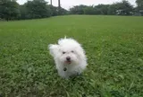 大井埠頭海浜公園