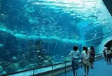 名古屋港水族館