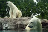 豊橋総合動植物公園 (のんほいパーク)