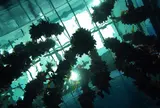 仙台うみの杜水族館