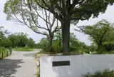 鶴山台惣ケ池公園