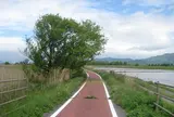 びわ湖よし笛ロード