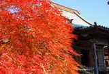 龍峰寺　※海老名市