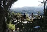 建長寺の展望台から鎌倉と海を一望する。