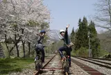 レールマウンテンバイク