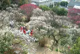 岡本梅林公園