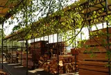 斉藤林業　工場見学