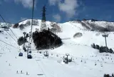 苗場スキー場
