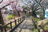 金崎宮