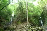 雄滝雌滝