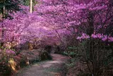 伊奈冨神社　鈴鹿