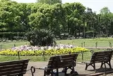 日比谷公園
