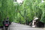 角館武家屋敷通り
