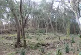 炬口城跡