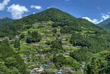 三好市東祖谷山村落合（山村集落　徳島）