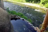 鉛温泉　藤三旅館