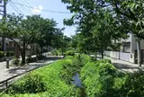 北沢川緑道