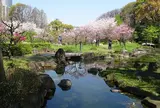 藤田邸跡公園（旧藤田邸庭園）