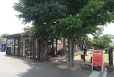 ミオ・カザロ