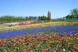 滝野すずらん丘陵公園