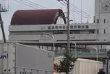 横浜中央卸売市場