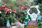 下賀茂熱帯植物園