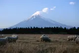 忠ちゃん牧場