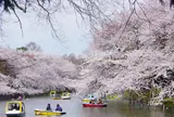 井の頭恩賜公園