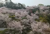 菊池公園一帯