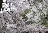 新宿御苑