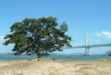 沙弥島