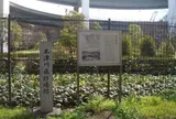 木津川飛行場跡