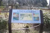 大正区