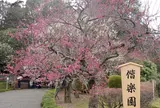 偕楽園