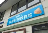 真鶴町立　遠藤貝類博物館