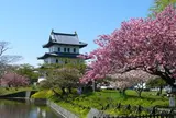 松前城さくら祭り