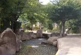 今川のせせらぎ