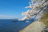 海津大崎