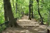 玉川上水沿いコース