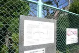 俊徳道