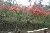 寄居町役場 観光協会