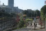 三角地帯