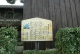 吉年邸のクスノキ
