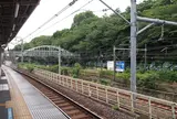 飛鳥山公園 ～紫陽花の小路～