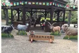 井の頭自然文化園