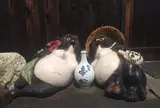 帝松
