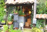 cafe pipipi
