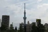 東京スカイツリー
